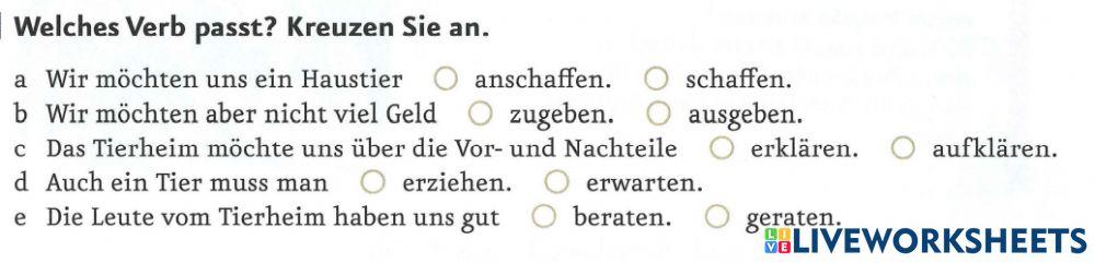 B 1.1. Lektion 7: Wortschatz