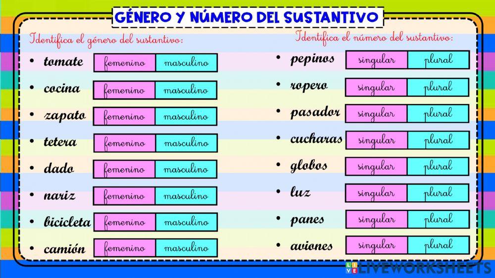 Género y número del sustantivo Género y número del sustantivo