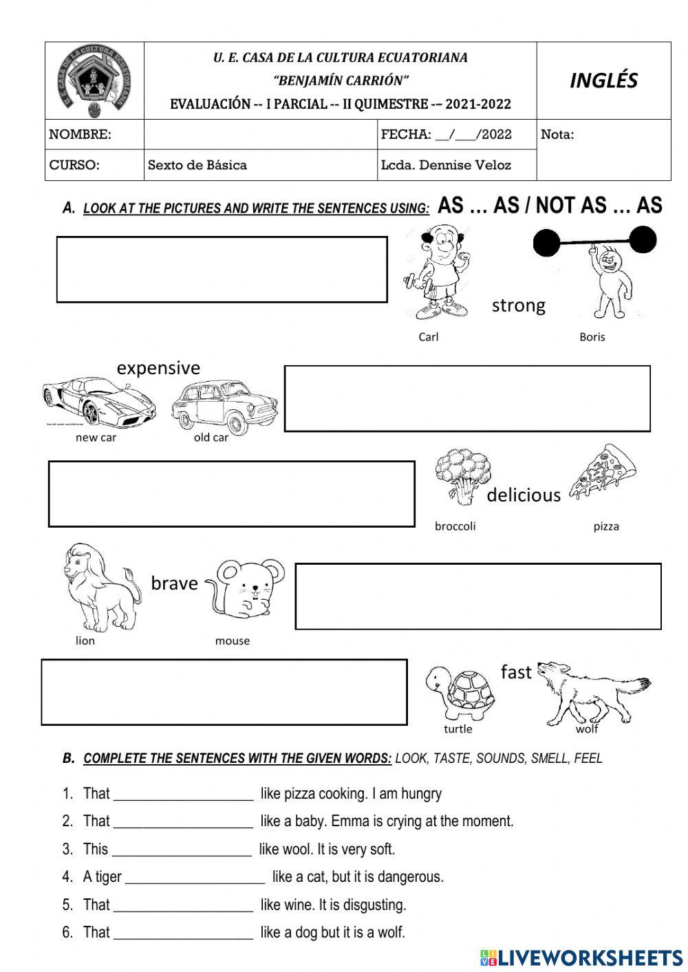 English Test 6th basic