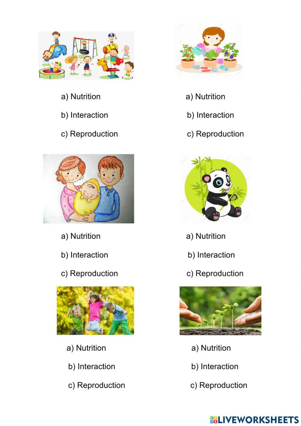 Nutrition, Interaction and Reproduction 1º Nutrition, Interaction and Reproduction 1º