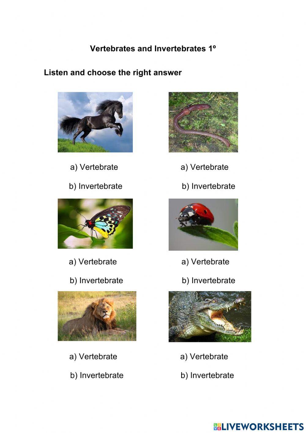 Vertebrates and invertebrates 1º Vertebrates and invertebrates 1º