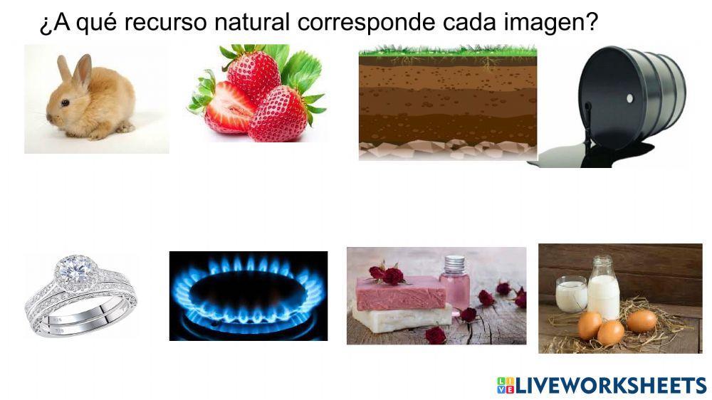 Recursos Naturales