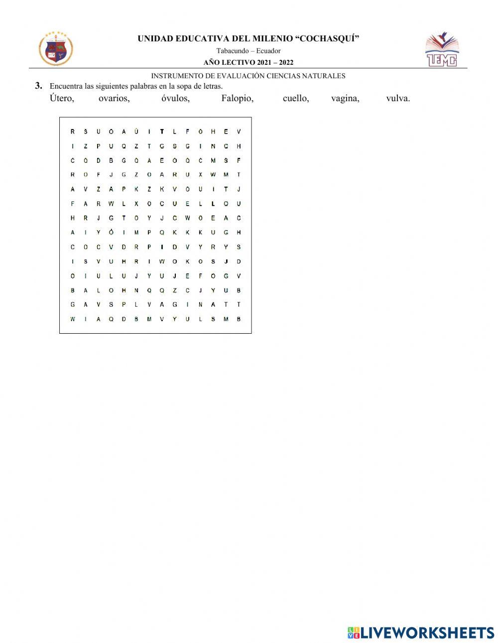Aparato reproductor Masculino y Femenino