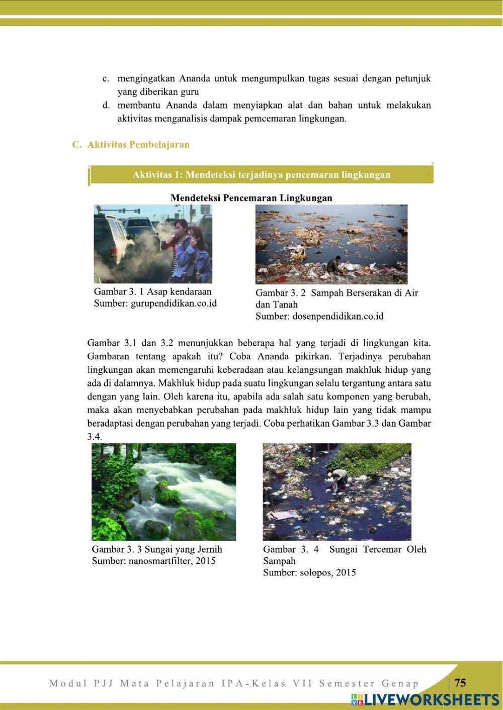 Pencemaran Linkungan