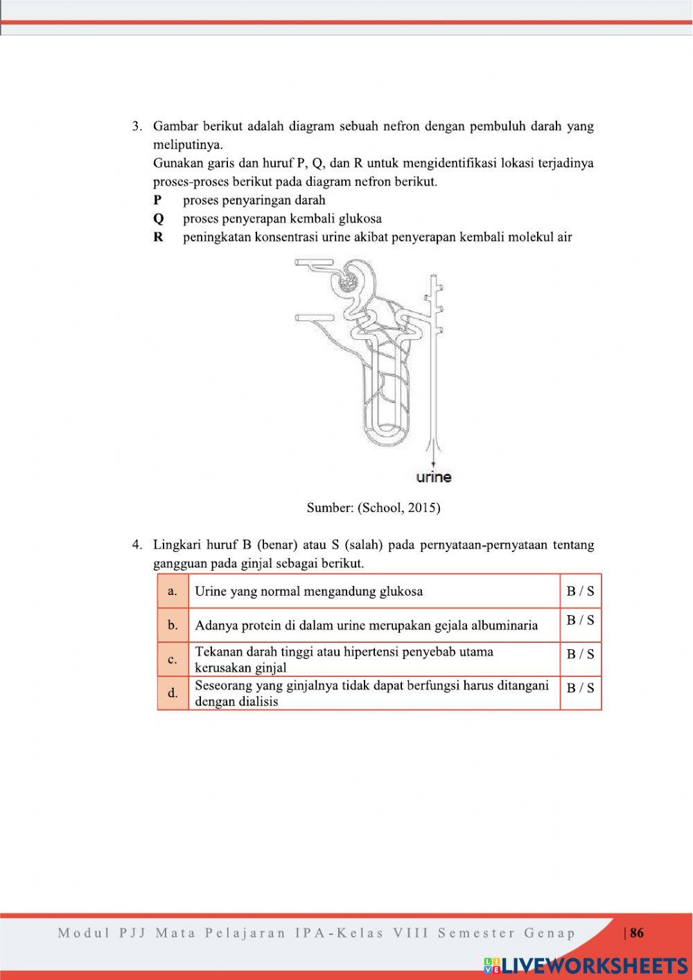 PEMBUANGAN SAMPAH TUBUH MANUSIA  part2