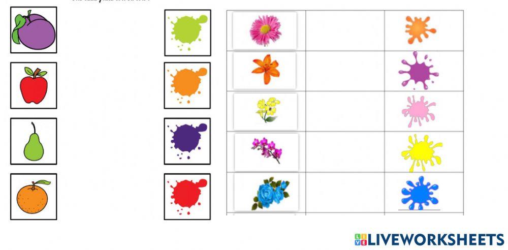 Sm preparation color