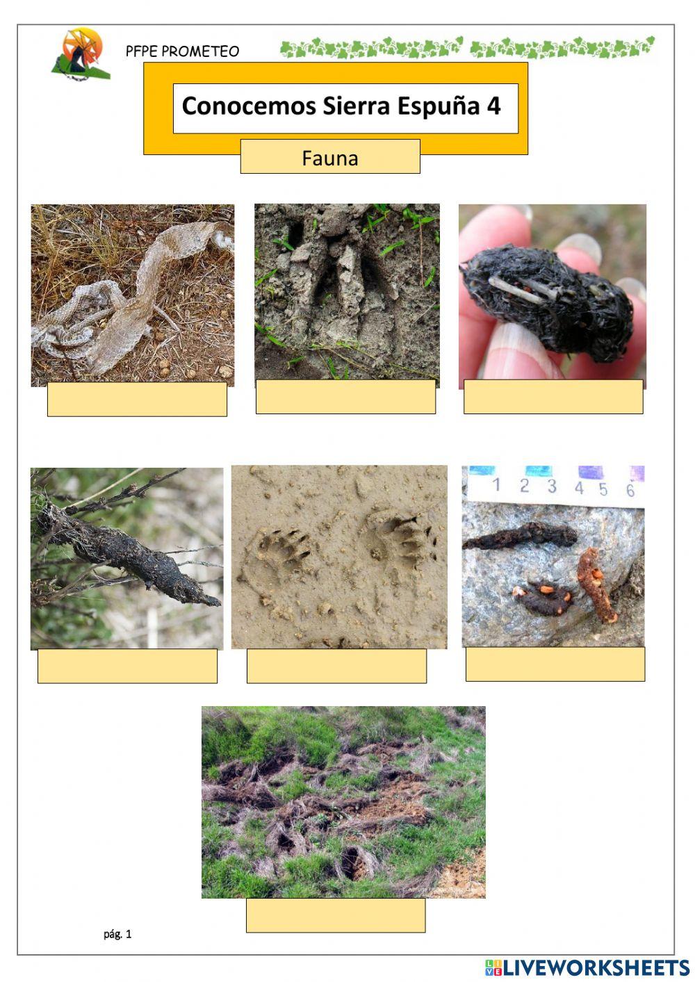 Conocemos sierra espuña 4