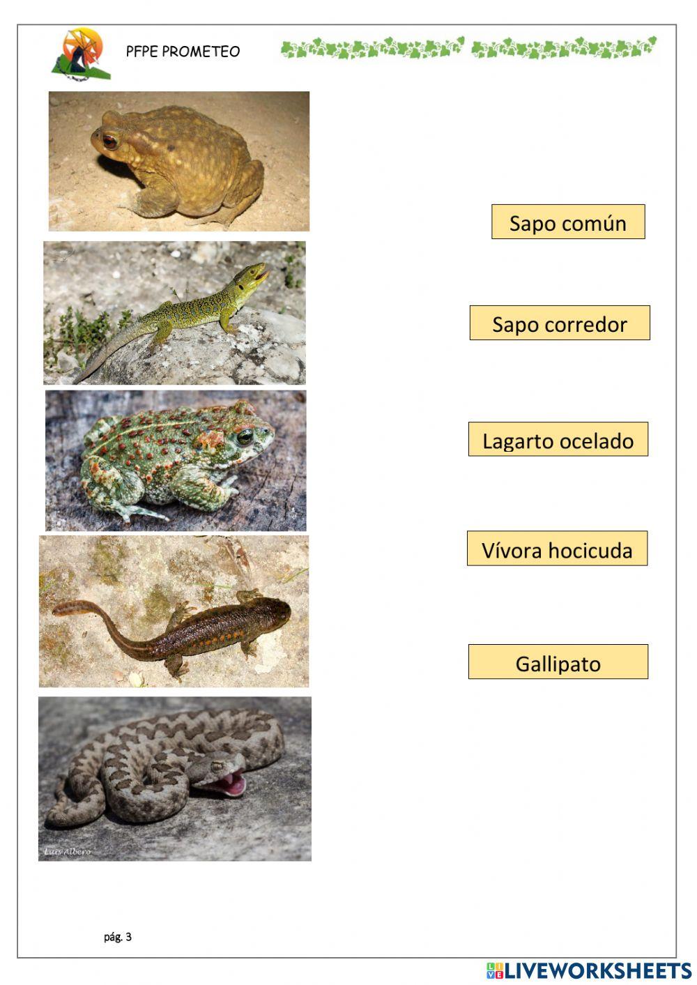 Conocemos sierra espuña 4