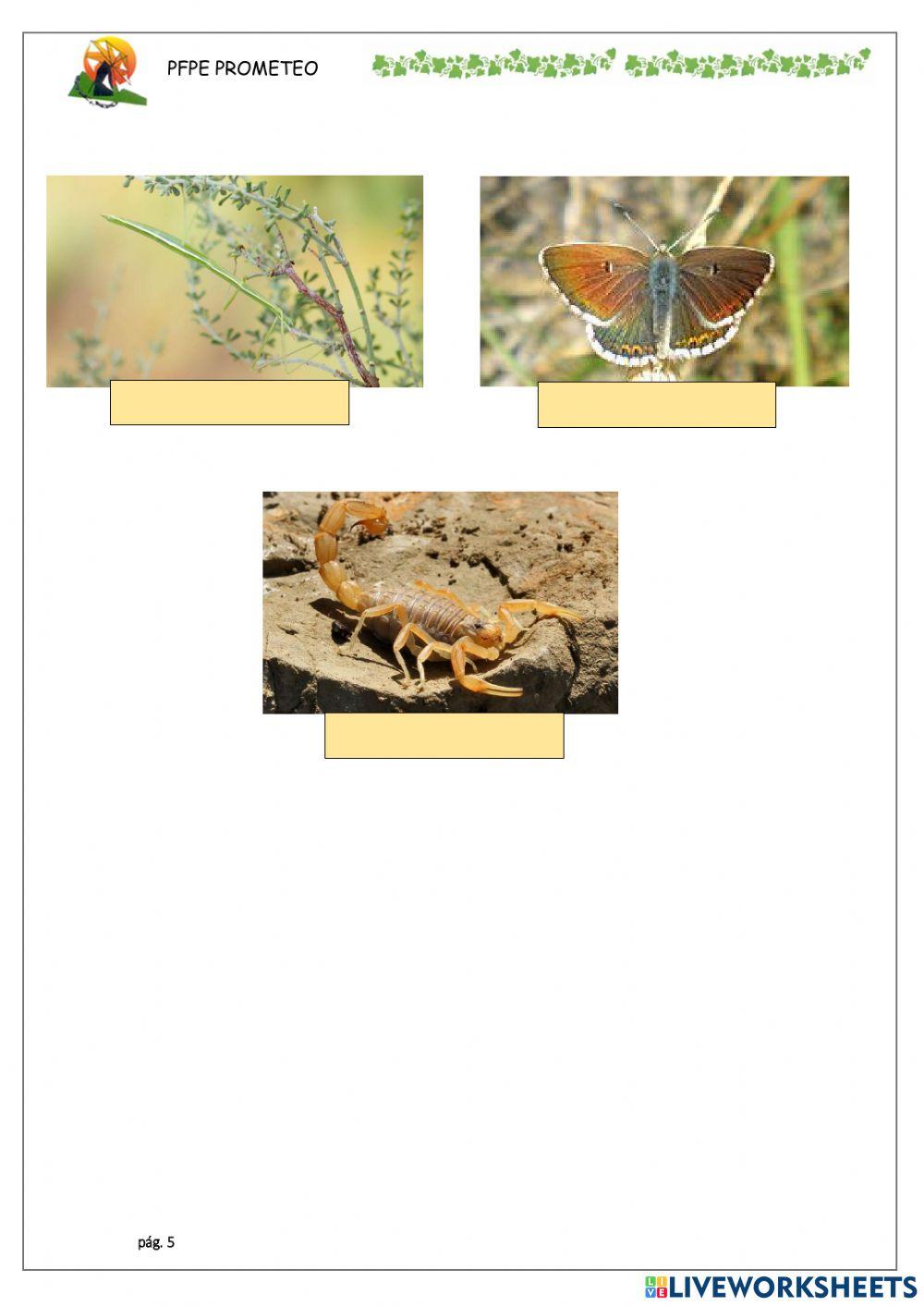 Conocemos sierra espuña 4