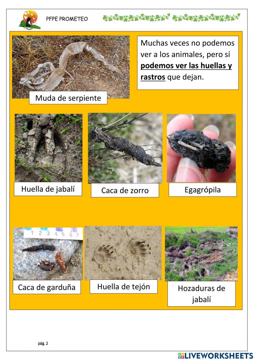 Conocemos Sierra Espuña 3