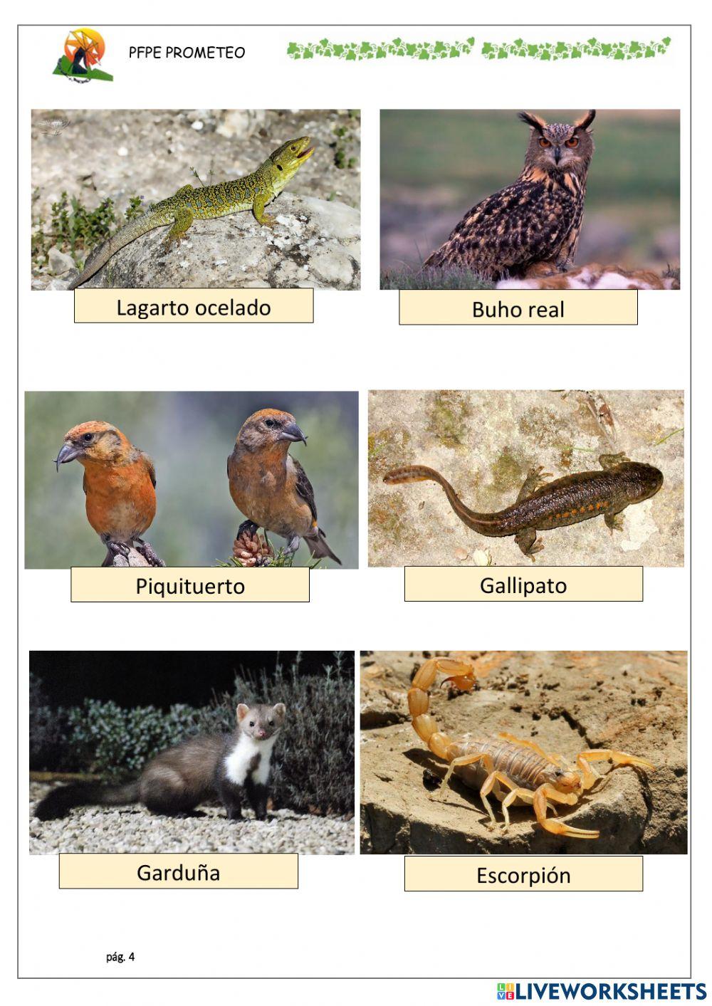 Conocemos Sierra Espuña 3