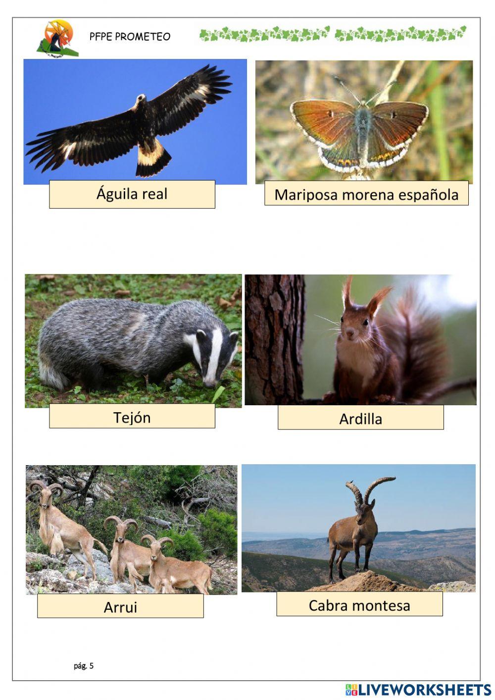 Conocemos Sierra Espuña 3