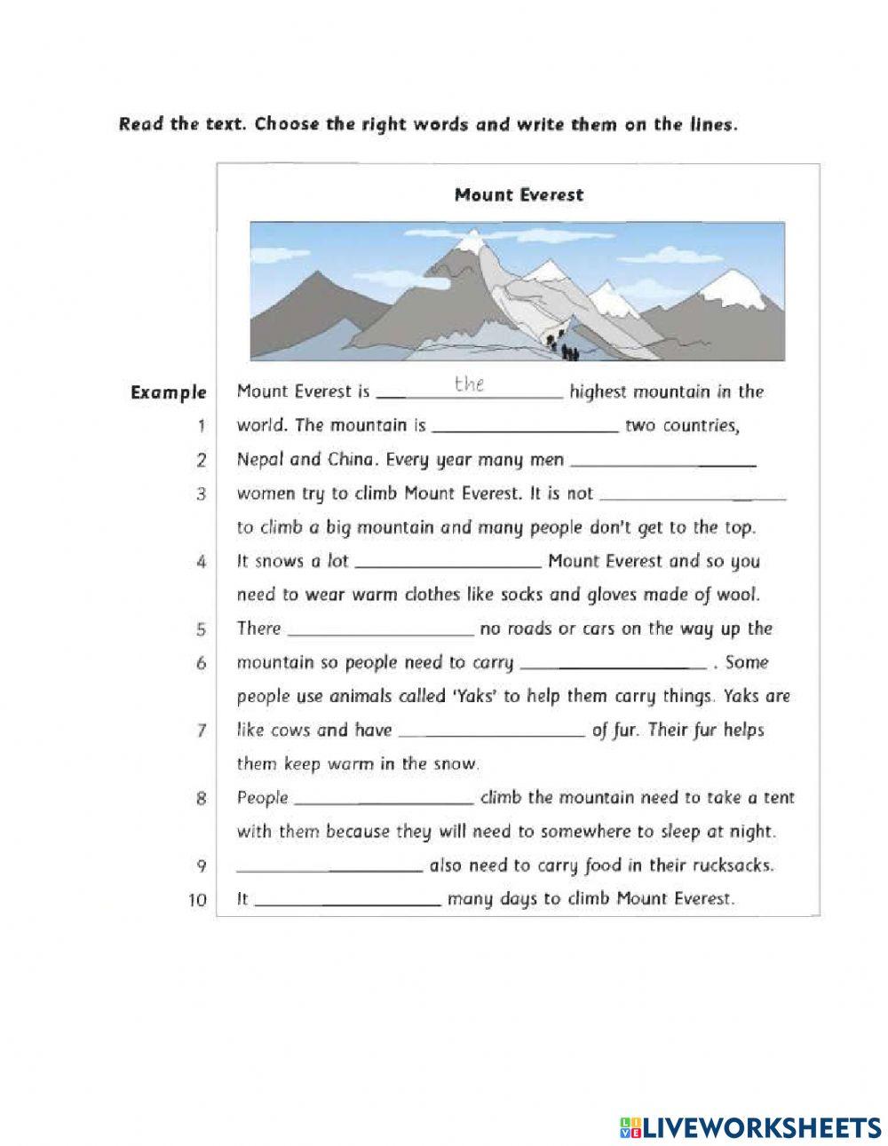 Mock test Flyers Final term 2