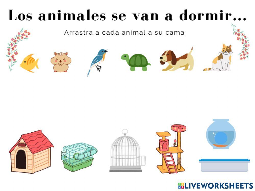 Los animales se vana dormir...