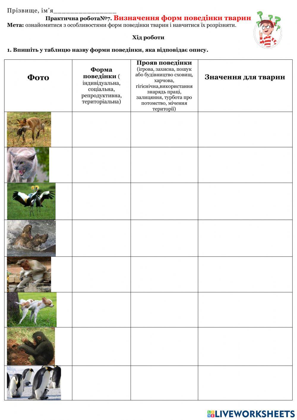 Визначення форм поведінки тварин online exercise for | Live Worksheets
