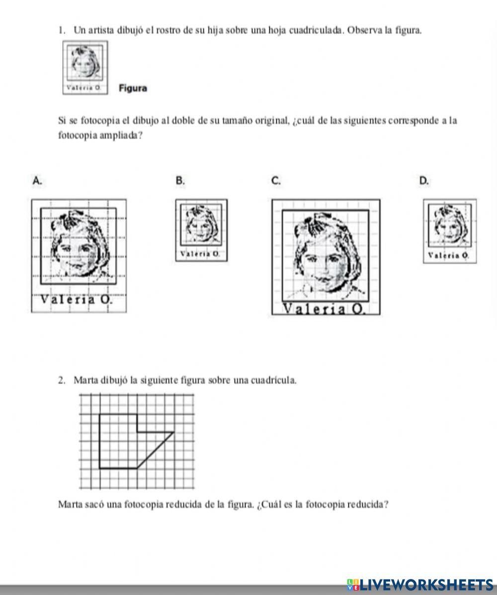 Reducción , ampliación y dibujo( parte 1)