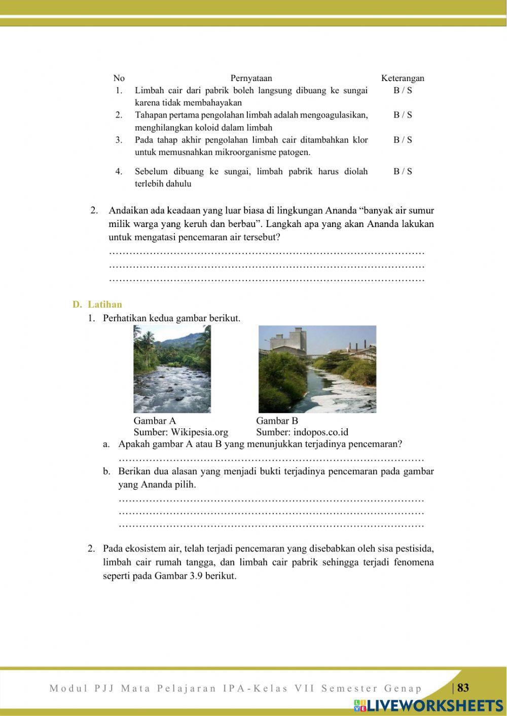 Pencemaran lingkungan