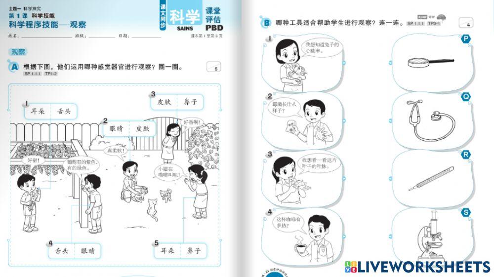 一年级科学技能-练习一