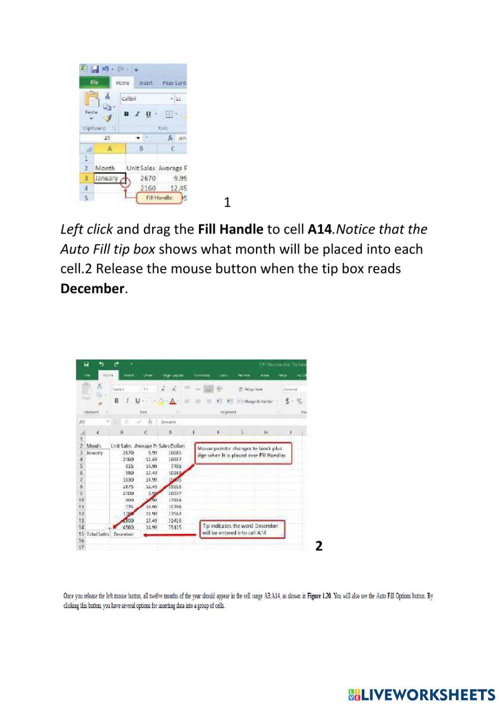 Entering Editing And Managing Data