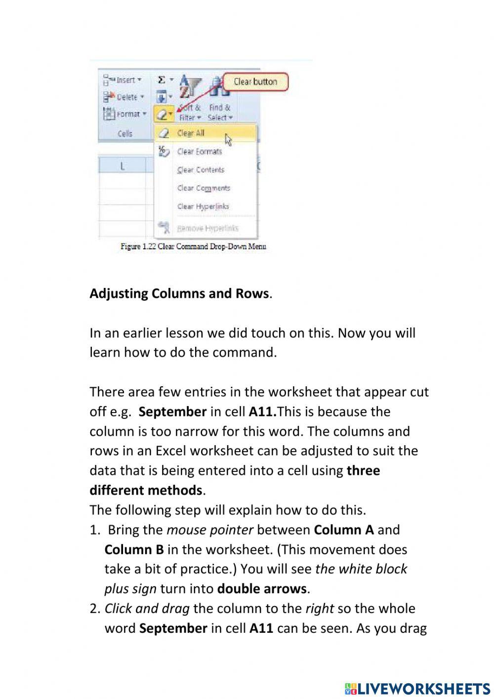 Lesson 6 deleting data and using the undo command worksheet live