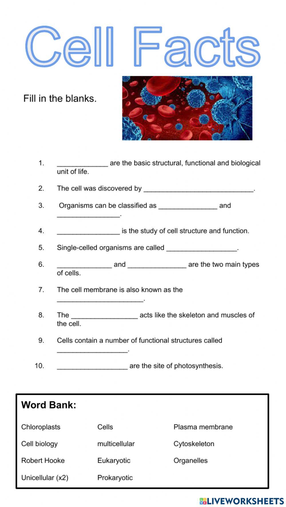 Cell Facts worksheet Live Worksheets