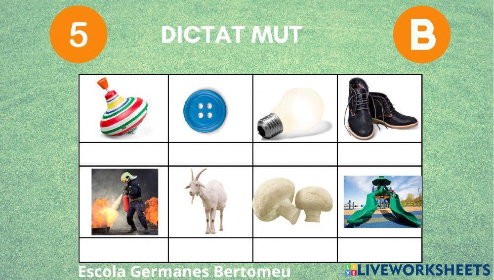 Dictat mut b  avançat