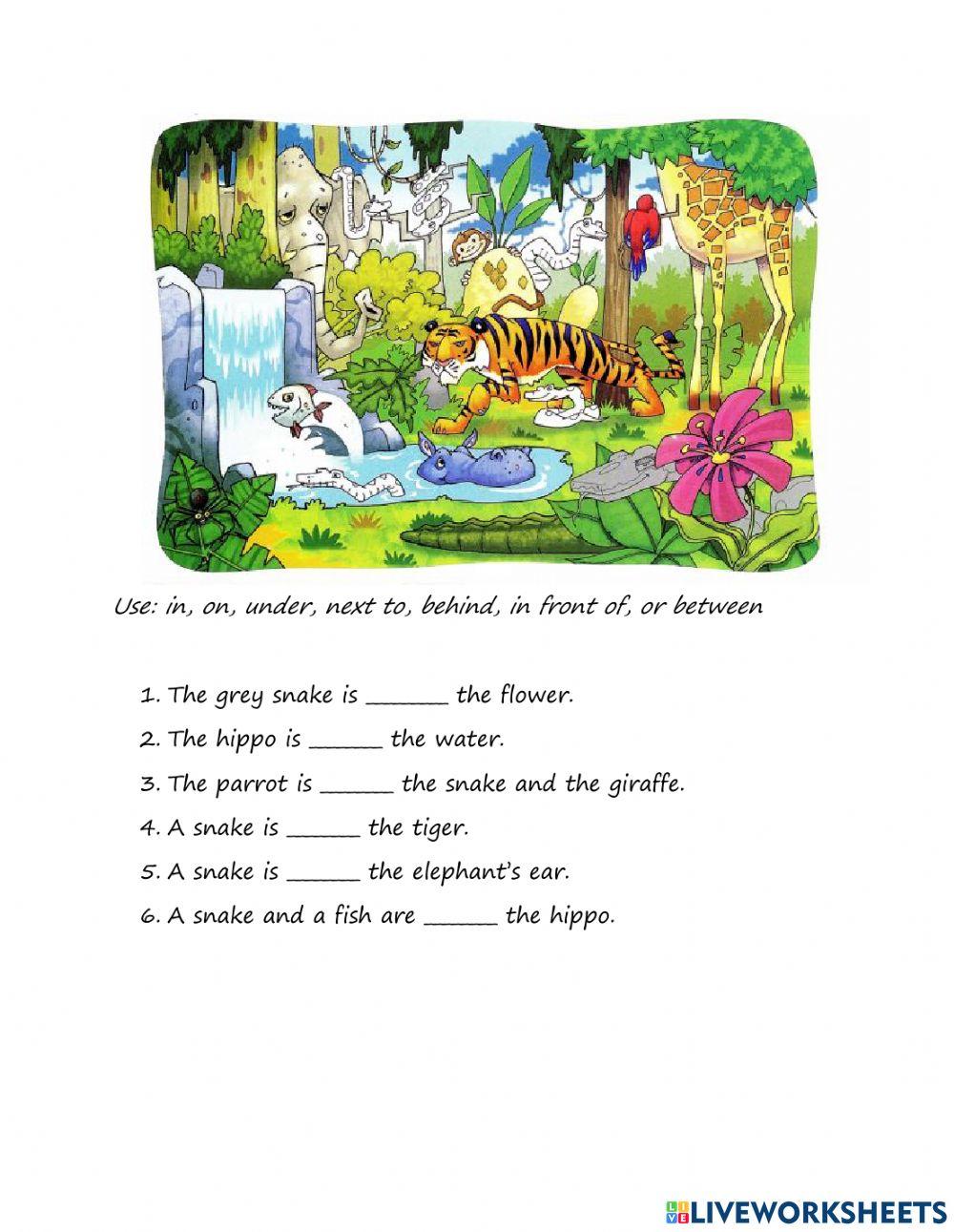 Prepositions of place, animals