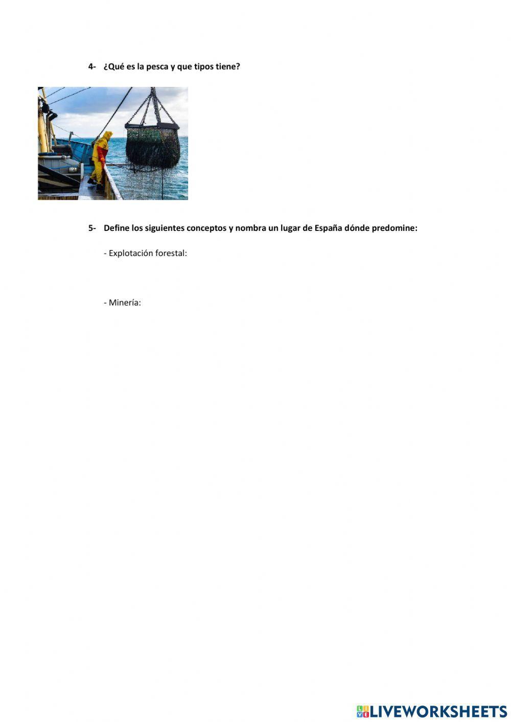 Sector primario españa