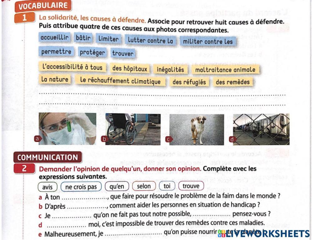 Les problèmes sauciaux