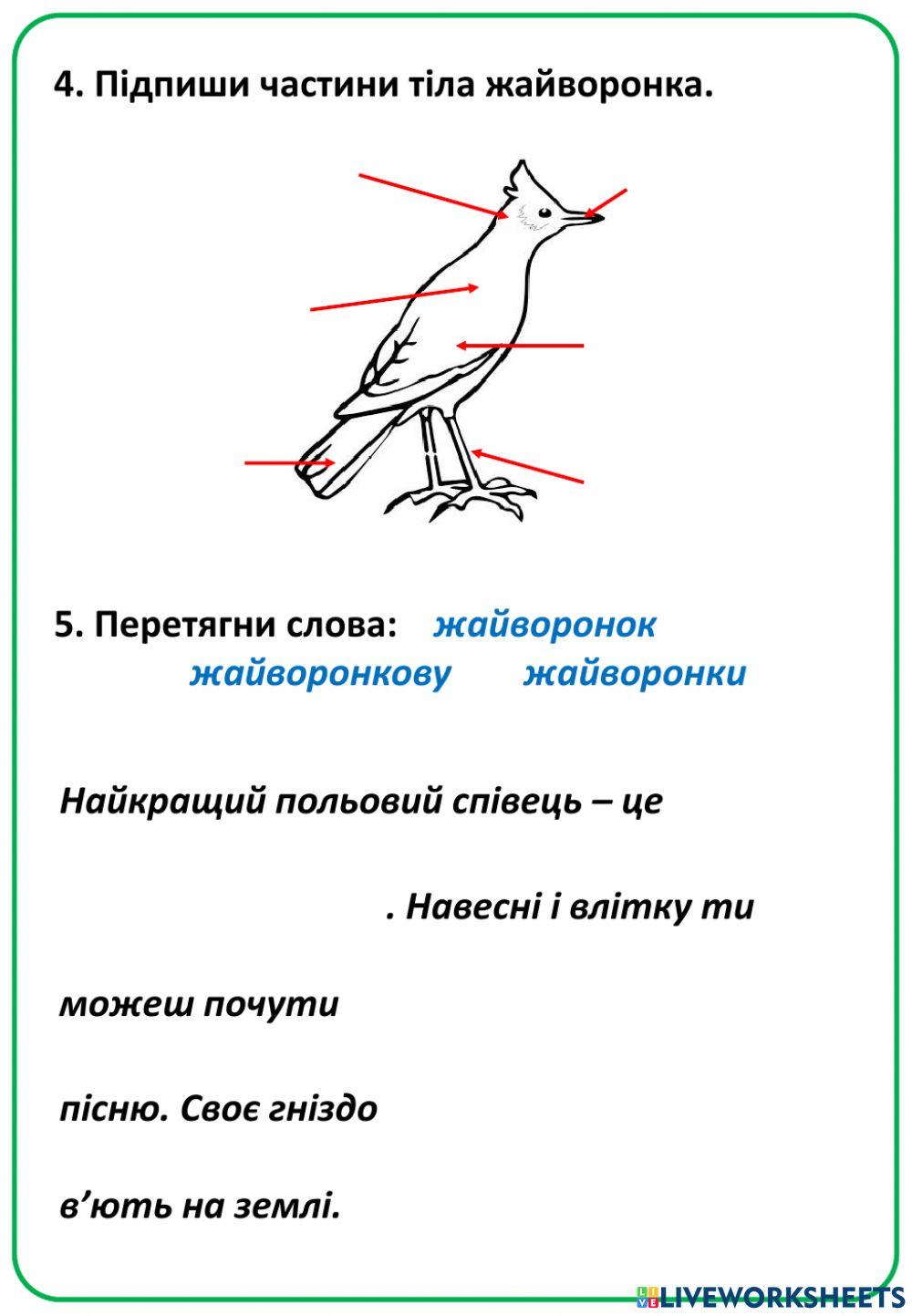 Жайворонок