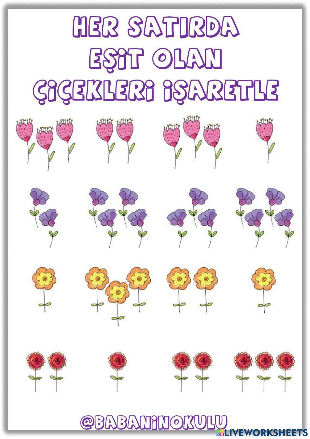 EŞİT KAVRAMI EŞİT KAVRAMI
