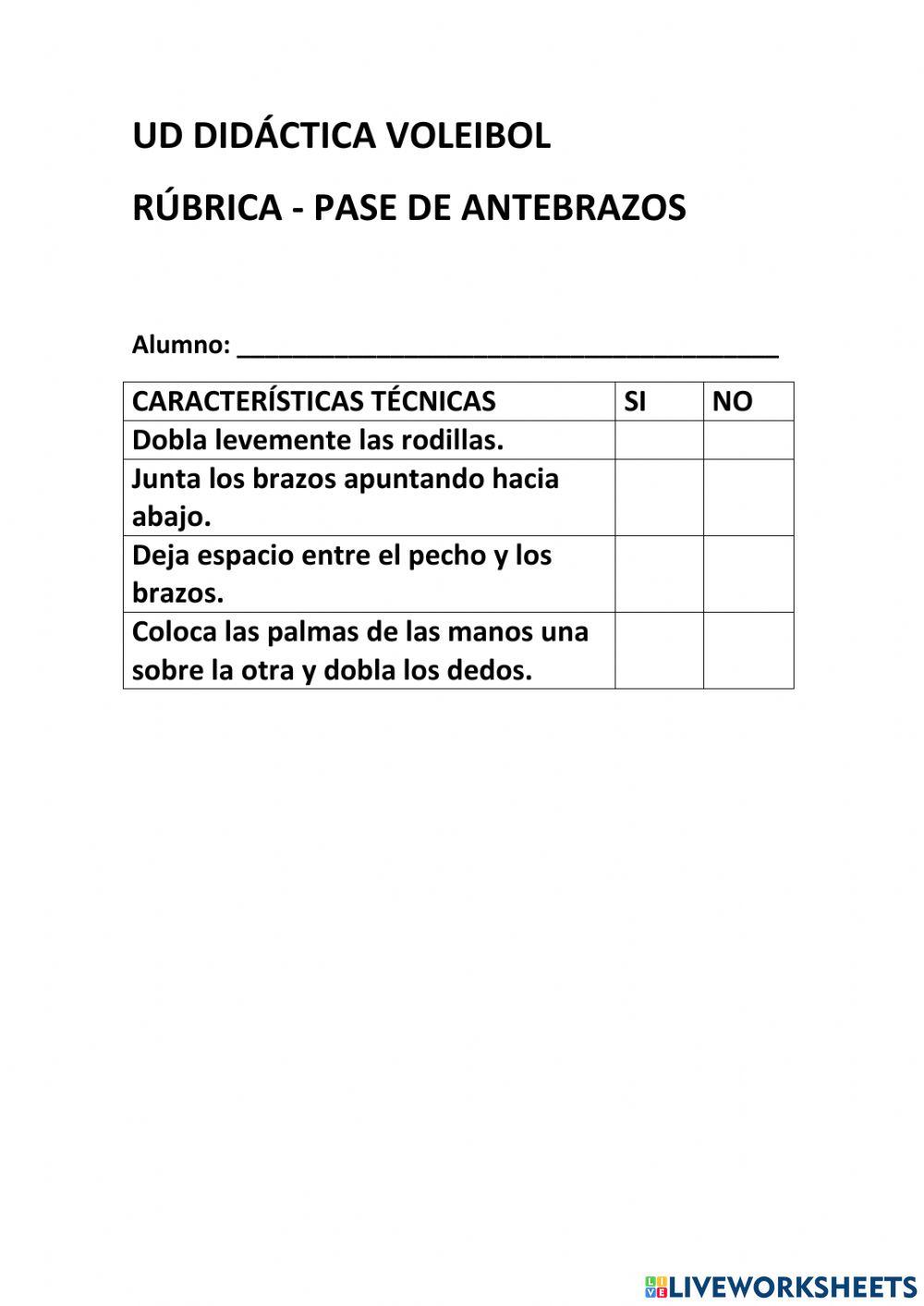 Rúbrica pase voleibol