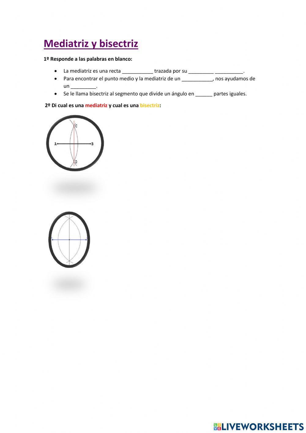 Mediatriz y bisectriz