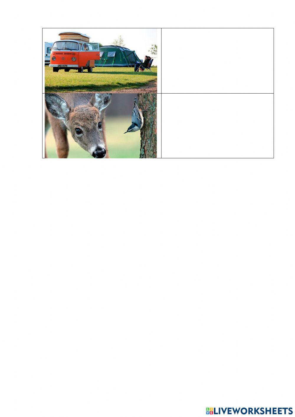 OT3 irregular verbs 1