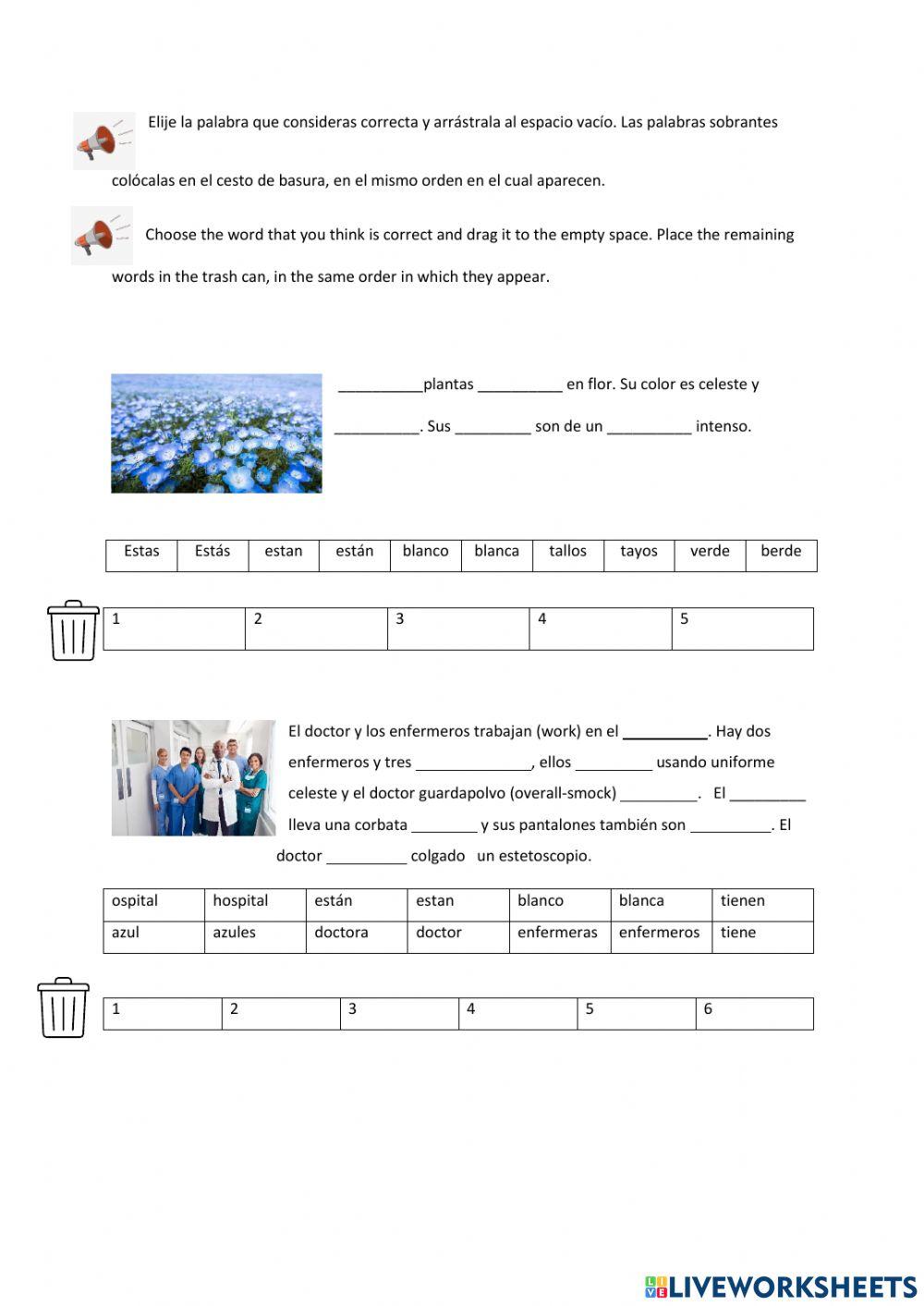 Completar las oraciones