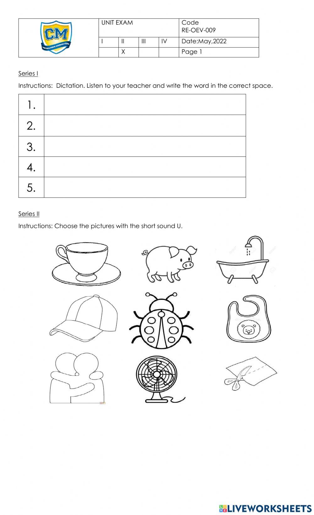 2nd unit exam writing