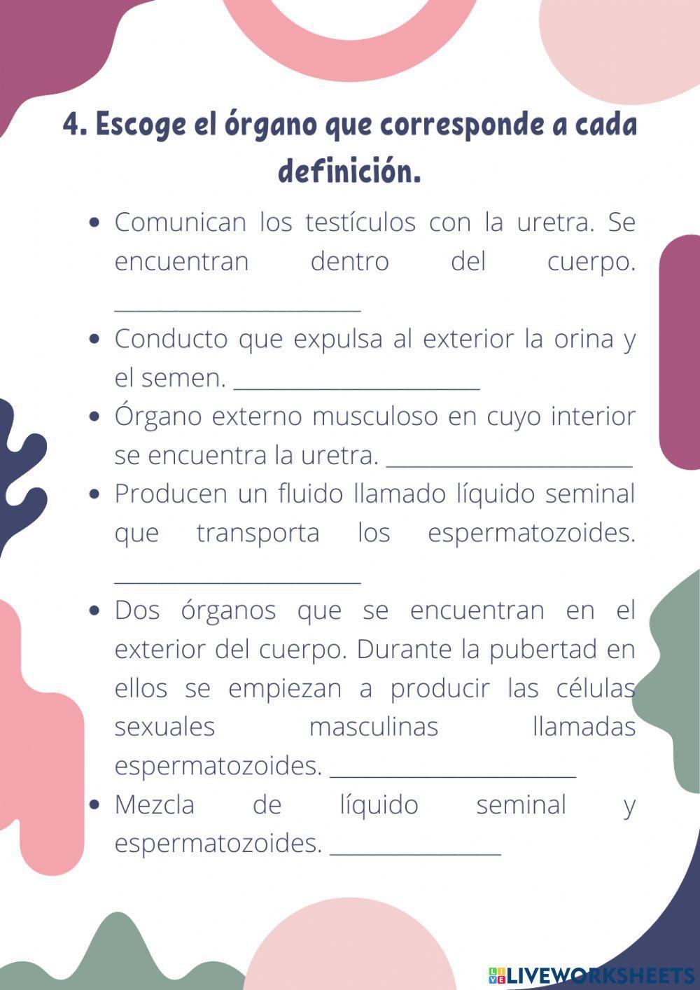 Los aparatos reproductores