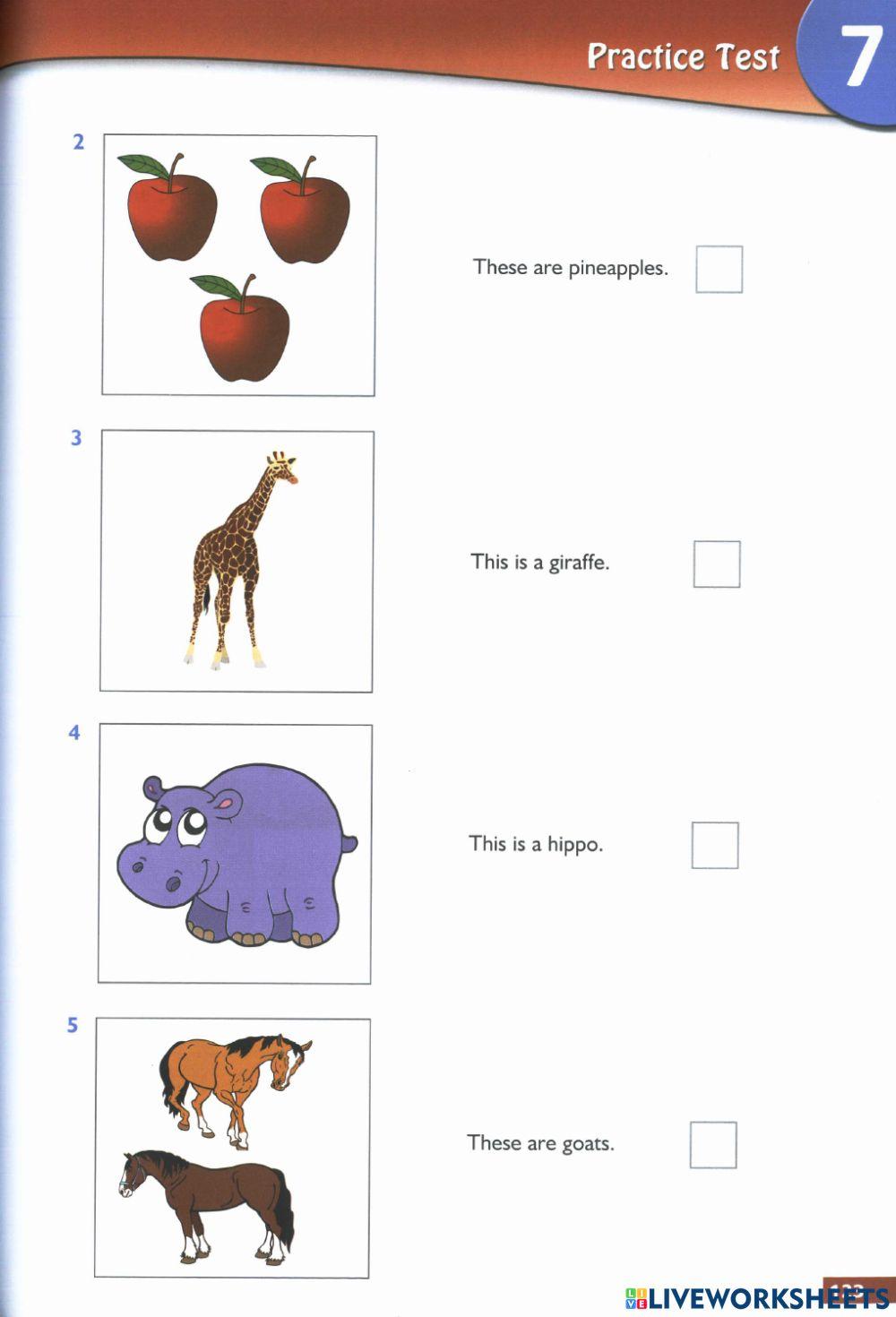 STARTERS SUCCEED TEST 7 READING