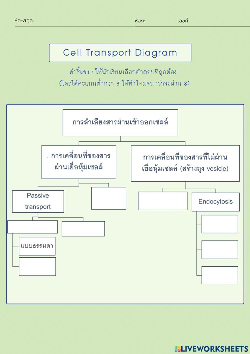 การลำเลียงสารผ่านเซลล์