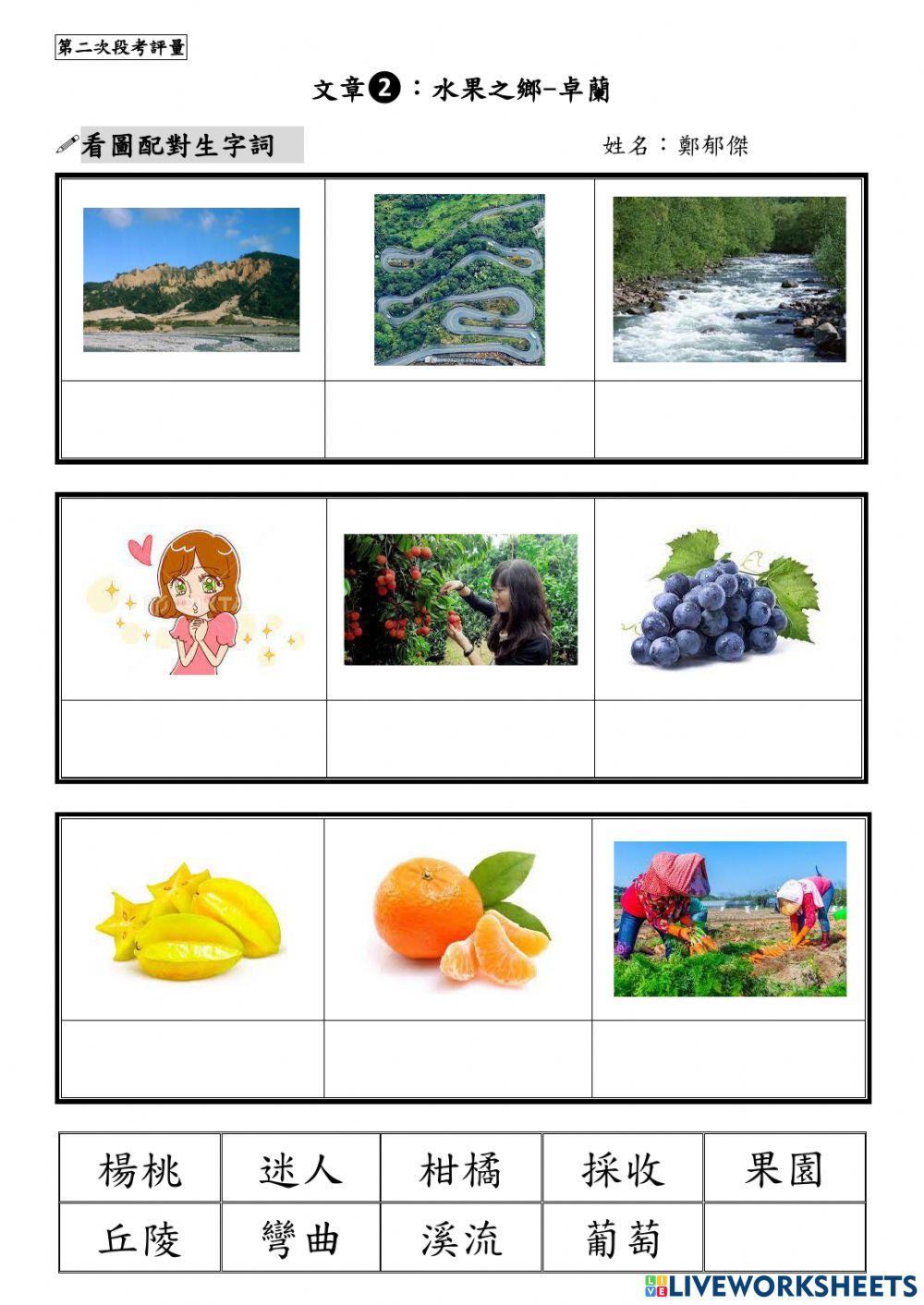 第二次段考評量(2)