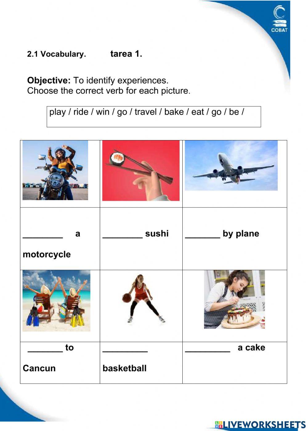 Vocabulary past participle verbs