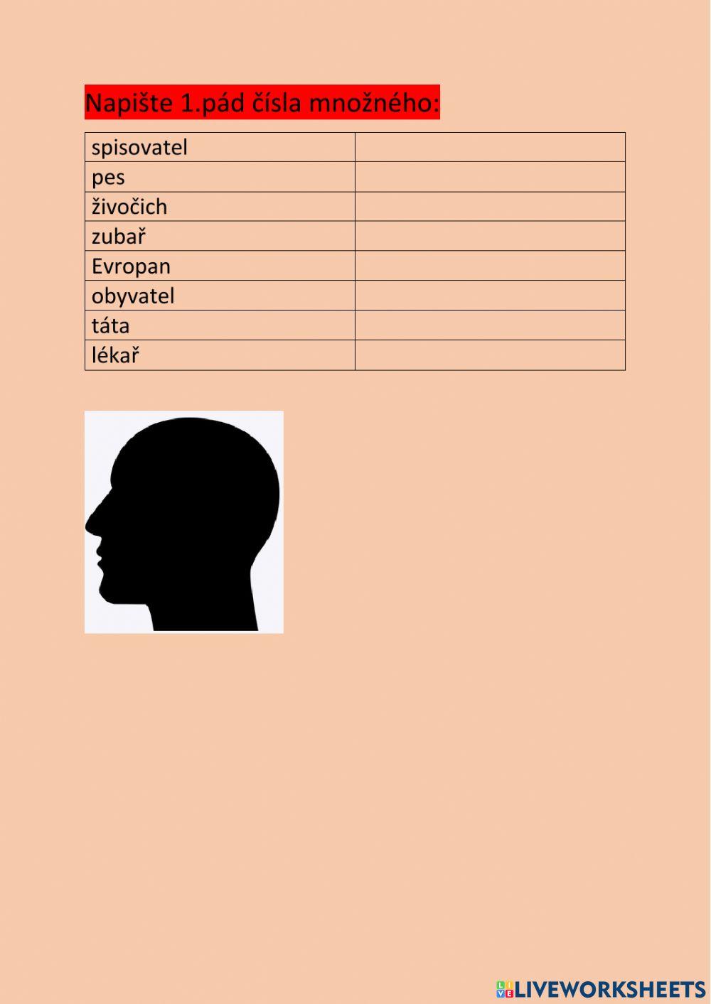 CES - 1.pád,č.mn. - životná maskulina - 4 - psaní