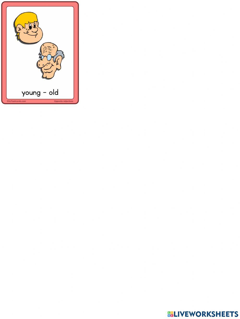 Opposites Adjectives