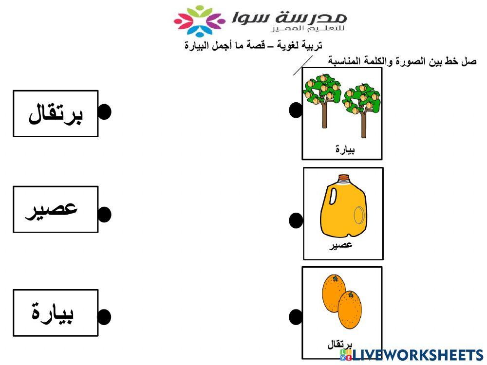 ما أجمل البيارة