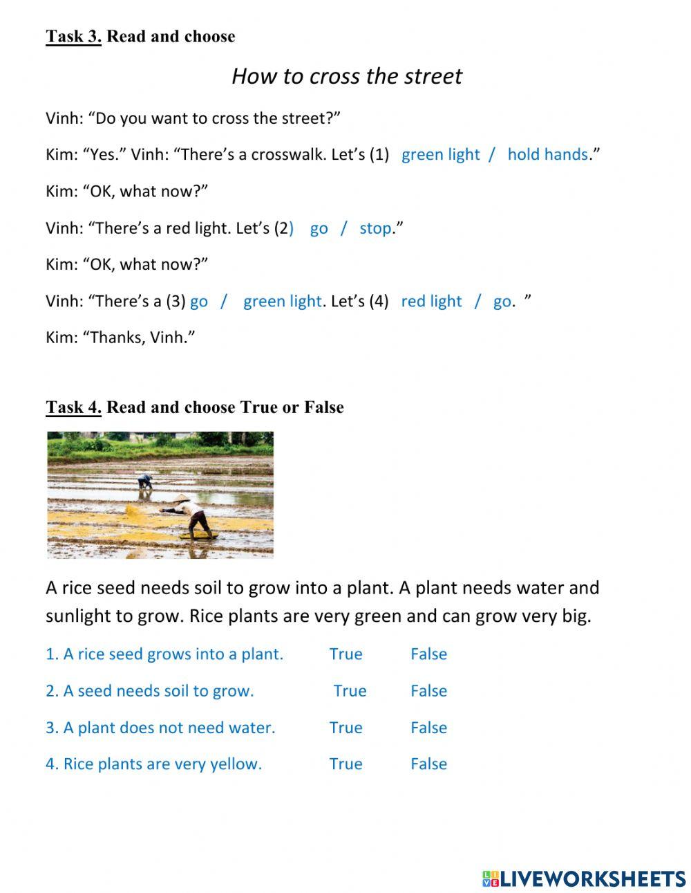 Reading skill - Grade 3