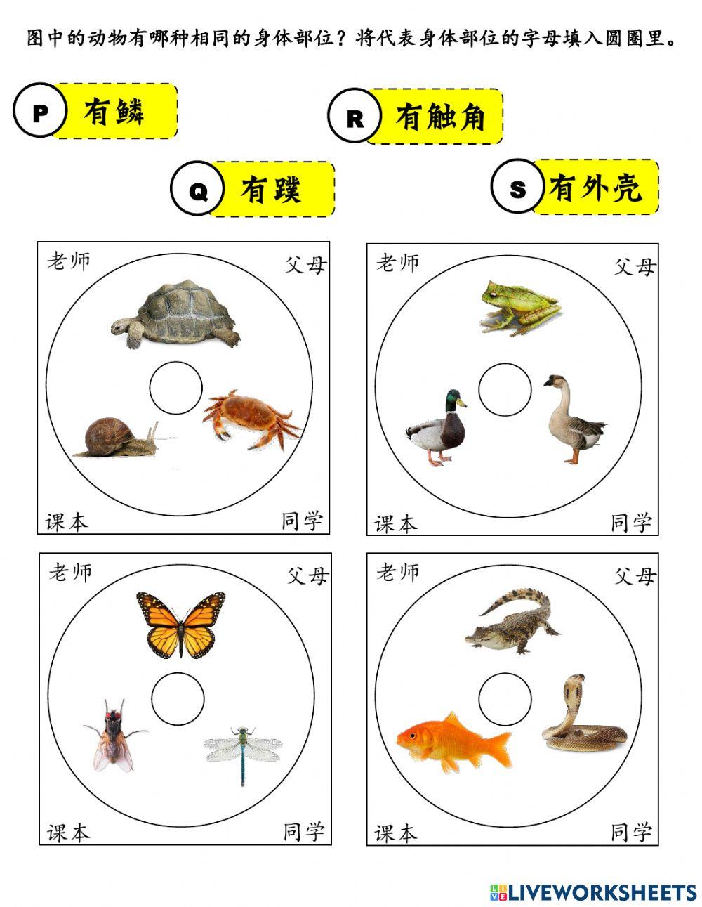 一年级科学-动物身体相同的部位