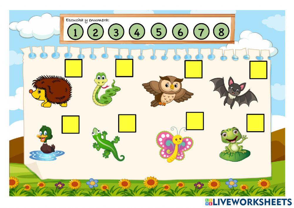 Animals everywhere vocabulary