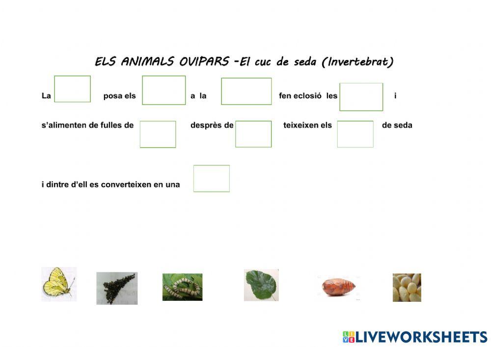 Els animals ovípars