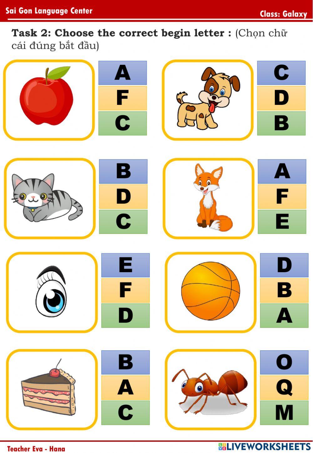 PPD A1 - Review - Galaxy (11-5-2022)