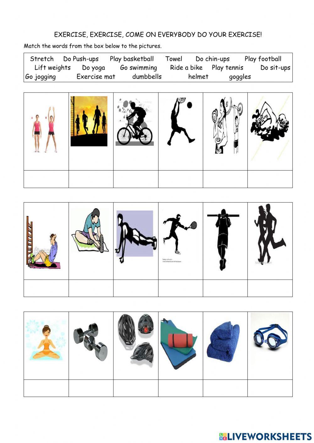 Exercise Vocabulary